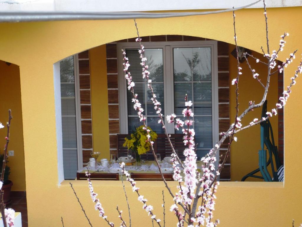 Apartments Brac スペタル 部屋 写真